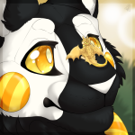 Feral-Ringo-Zebra