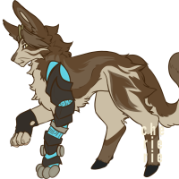 Thumbnail image for MYOBu-624: Normal Buck MYO