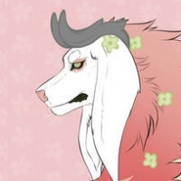 MYOLy-076