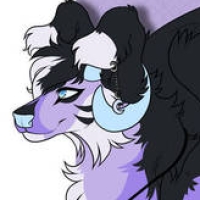 MYOLy-140: Quinn *