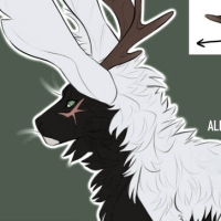 Thumbnail for MYOBu-461: Iskar [P]