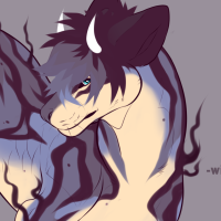 Thumbnail for MYOBu-479: Noktus