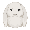Aspect of the Bunny
