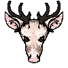 Aspect of the Reindeer