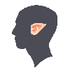 Alt Ears