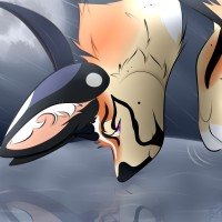 Submission thumbnail